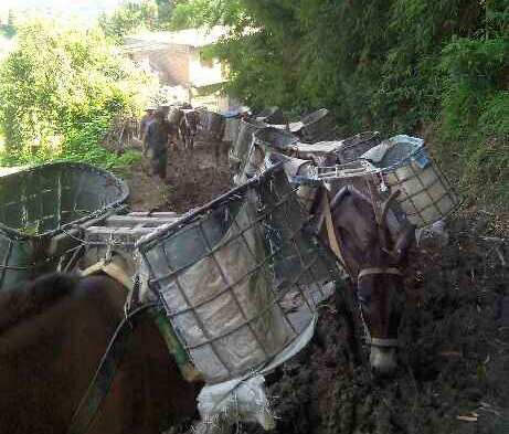 增城区马帮搬运