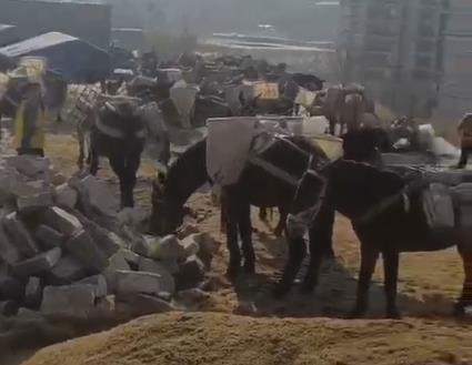 增城区马队山路运输
