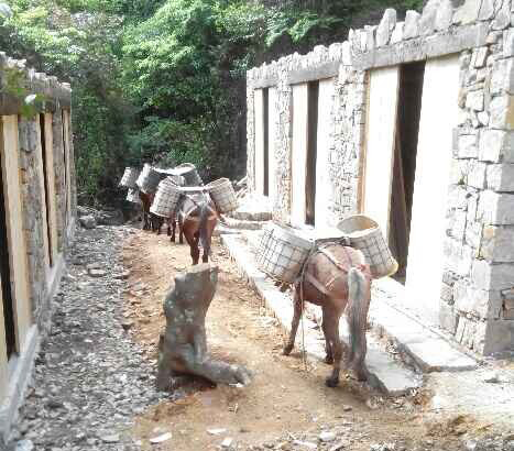 增城区马队运输队