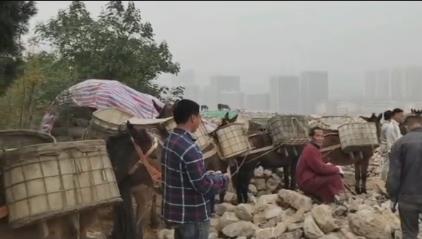 增城区骡马山区运输