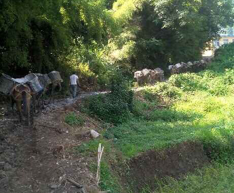 增城区马帮运输队