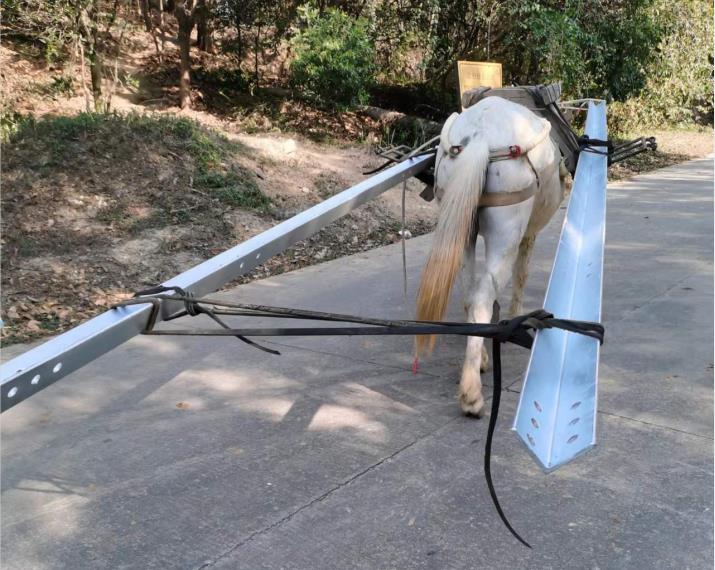 增城区马队搬运