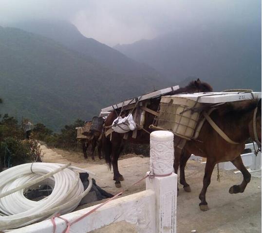 增城区山区马帮运输