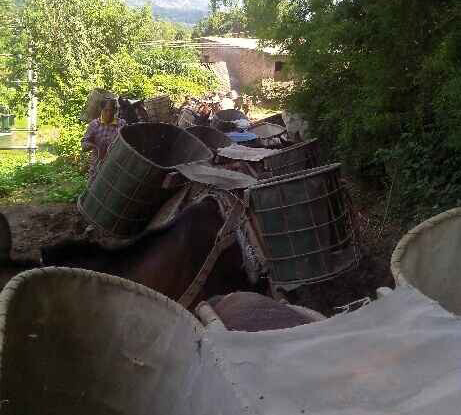 增城区骡马运输